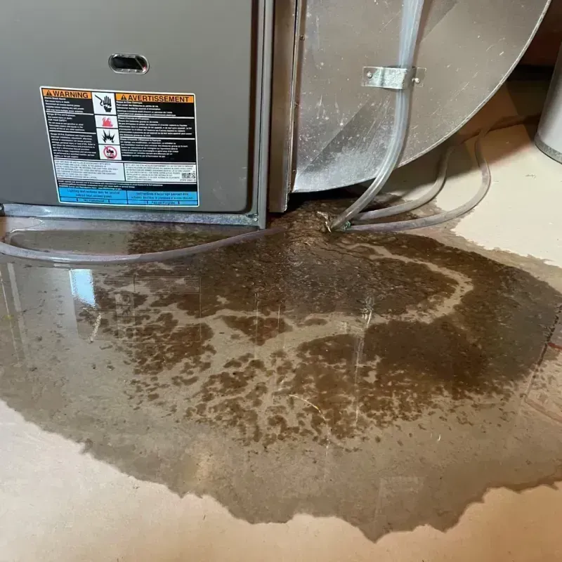 Appliance Leak Cleanup in Jerome, IL